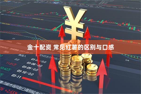 金十配资 常见红薯的区别与口感