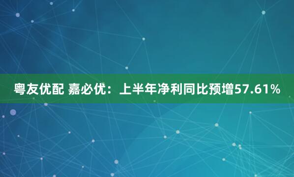 粤友优配 嘉必优：上半年净利同比预增57.61%