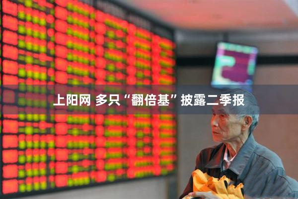 上阳网 多只“翻倍基”披露二季报
