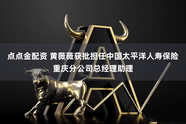 点点金配资 黄薇薇获批担任中国太平洋人寿保险重庆分公司总经理助理